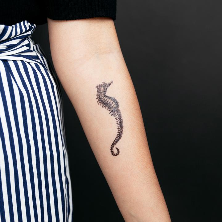 Tattly 2-Pack Seahorse Tattoo