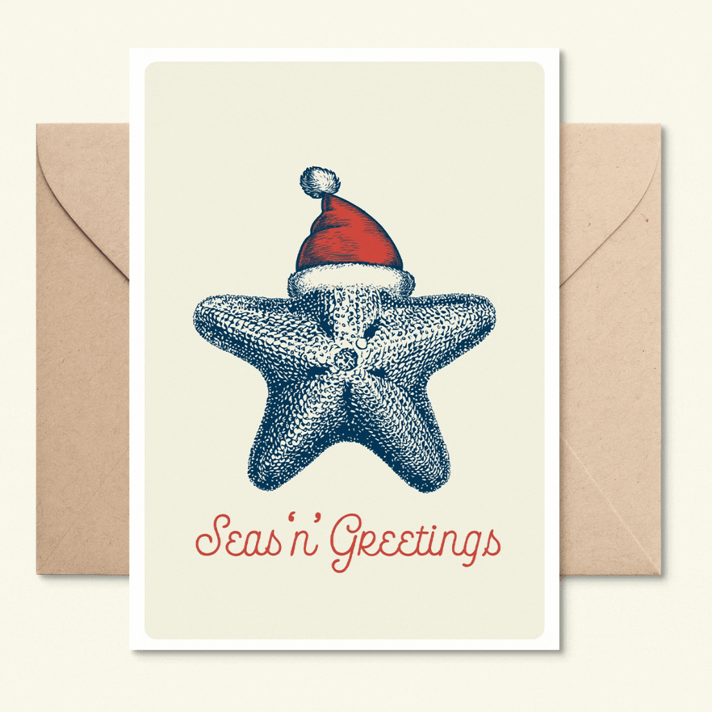 3-Pack Marsha by The Sea Ocean Christmas Cards